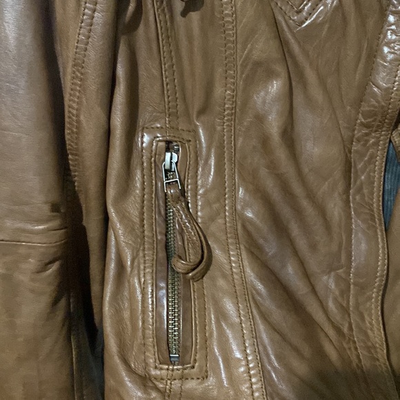 Leather jacket - Picture 3 of 5